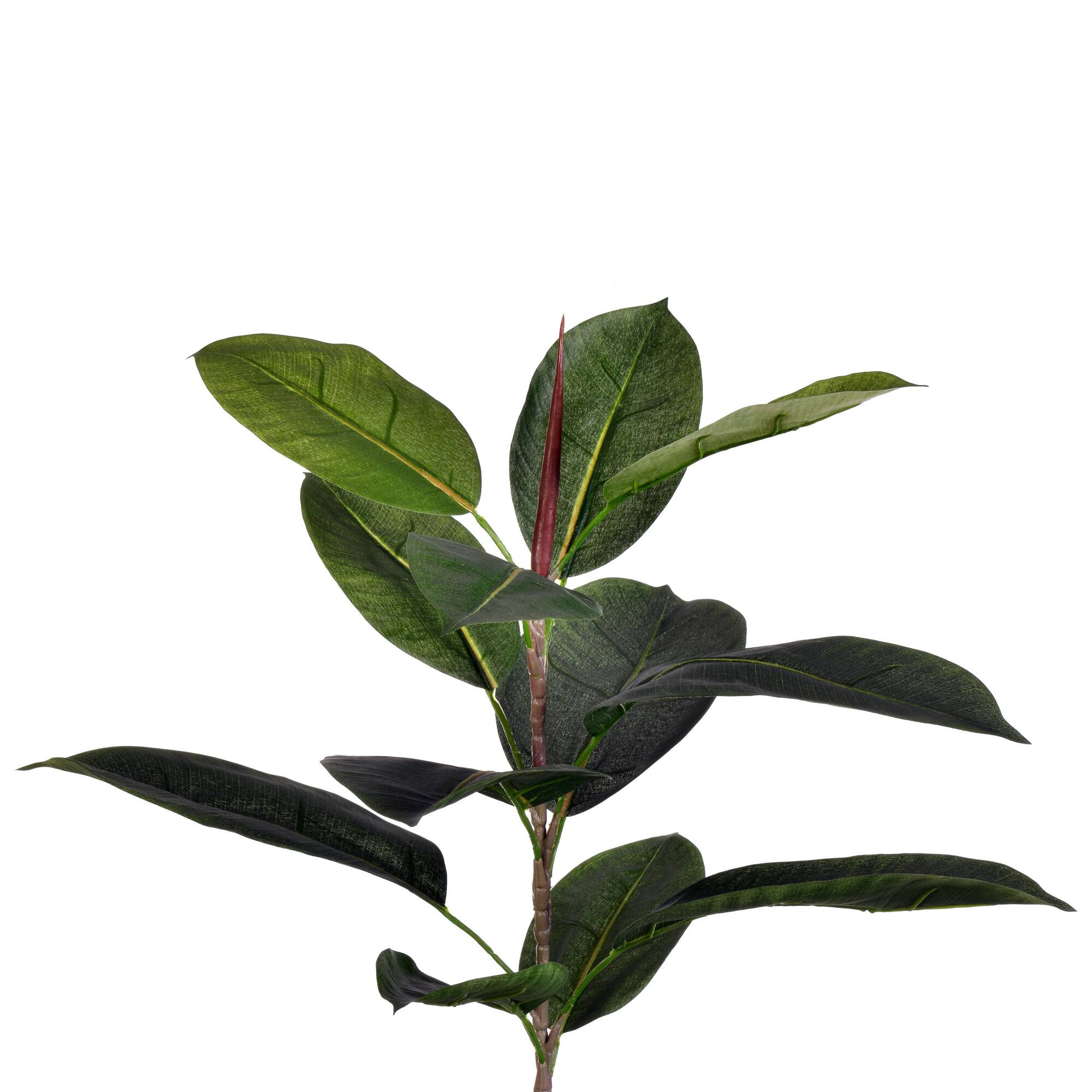 6ft. Potted Artificial Green Rubber Tree